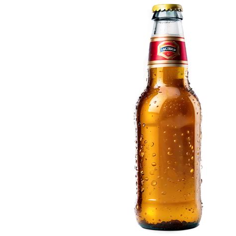Download Realistic Beer Bottle Image Png 05242024 | Wallpapers.com