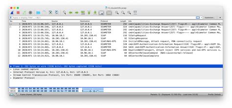 Pcap Tutorial 的图像结果