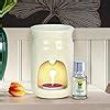 IRIS - Home Fragrance for Fine-Living -Essential Vaporizer oil/Oil ...
