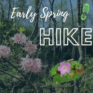 Early Spring Hike, 7104 DeSoto Pkwy NE, Fort Payne, AL, United States ...