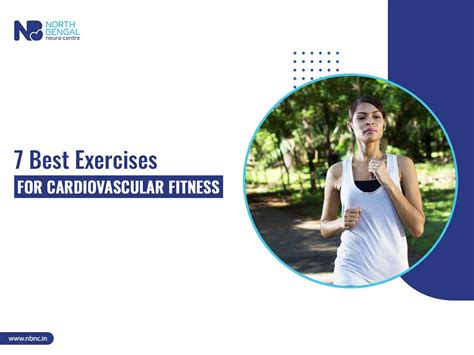 7 Best Exercises for Cardiovascular Fitness