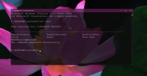 Net User Command 的图像结果