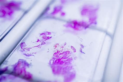 Image result for Microscope Slide View