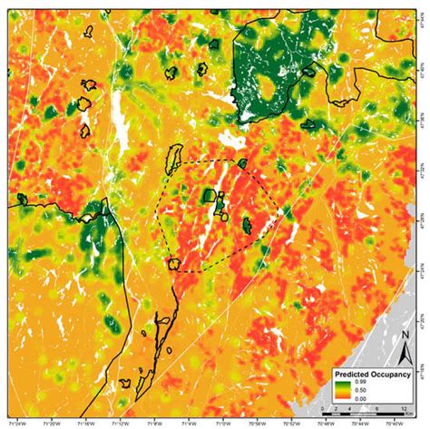 Occupancy of the American Three-Toed Woodpecker in a Heavily-Managed ...