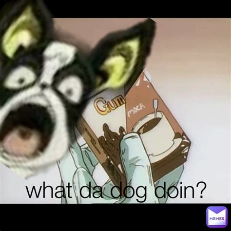 Who Da Dog Meme