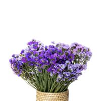 Dianthe | Empowering Hands. Growing Futures.