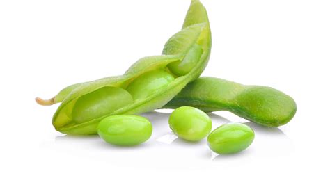 Edamame vs. Lima Beans: What's the Difference? - A-Z Animals