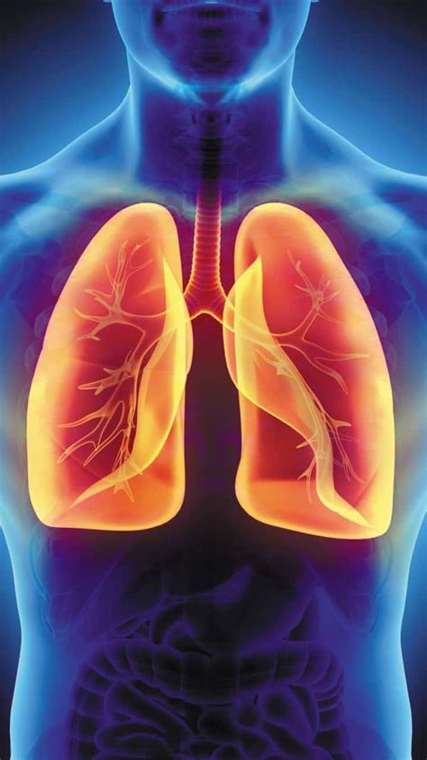 7 tips to keep lungs healthy and safe amid pollution