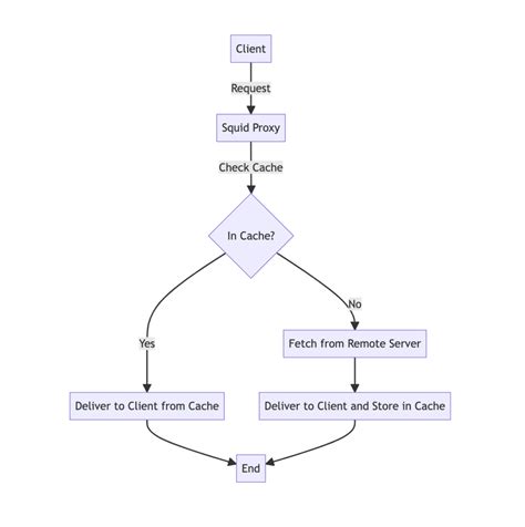 Image result for Squid Proxy Server Tutorial