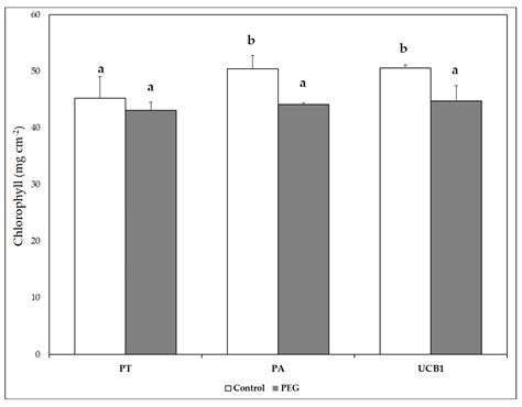 Effects of Rootstock on Water Stress, Physiological Parameters, and ...