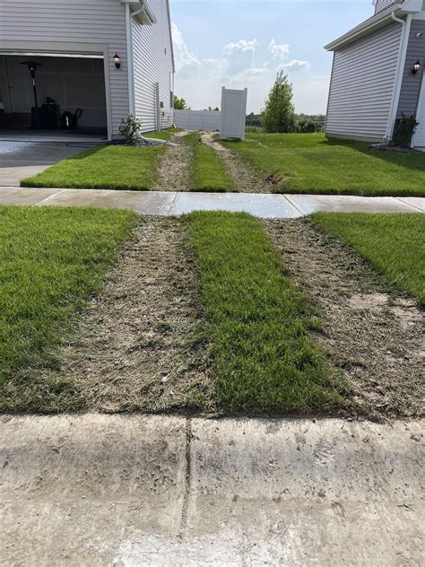 Skidsteer drove through my sod : r/lawncare