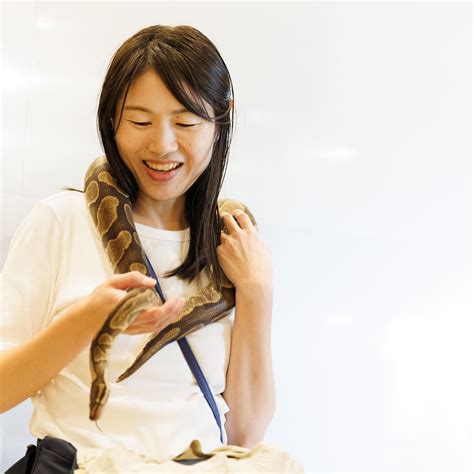 MOFF ANIMAL CAFE ODAWARA DYNACITY (2026) All You Need to Know BEFORE ...