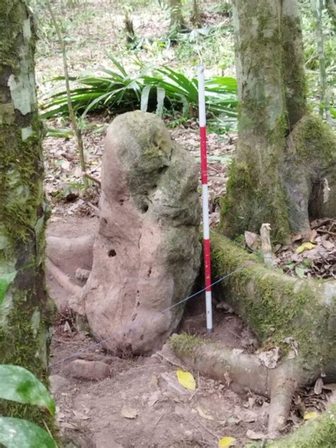 3,000-year-old Mayan complex with pyramid, shrines and canals ...