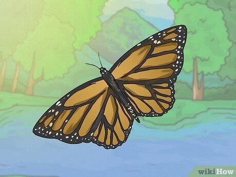 Religious Symbol 的图像结果