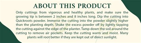 DIVINE TREE Quick Root 1000 Dry Powder Rooting Hormone for Plants ...