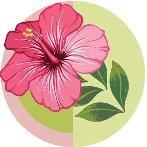 Hibiscus – Boho Botanist