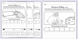 Grade 1 English - Phonics - Worksheet: Sentence Building: ch-