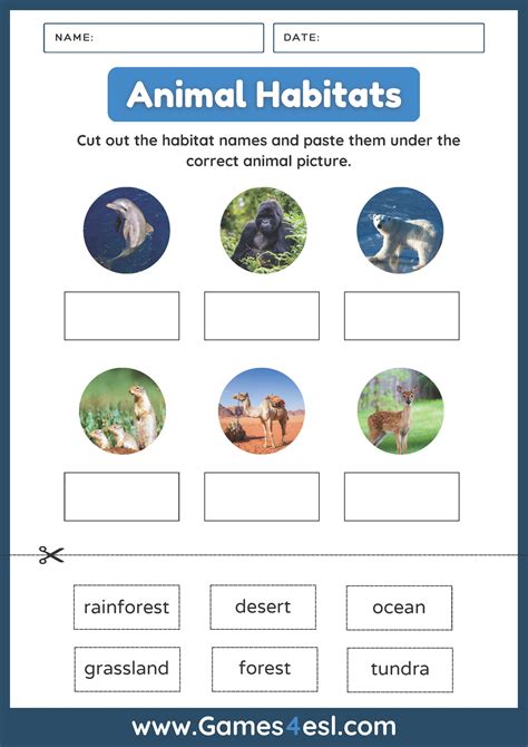 Animal Habitats Worksheets Pdf Animal Classification By Habitat