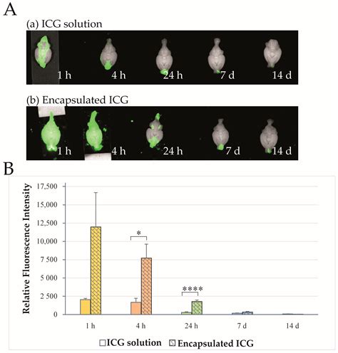 Indocyanine Green as a Marker for Nose-to-Brain Delivery Pathways ...