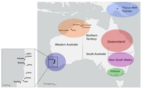 Viruses | Special Issue : Viral Molecular Epidemiology