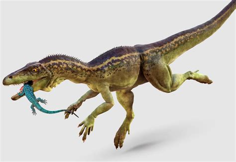 20 Nutrition Facts About Cooked Orzo - Facts.net