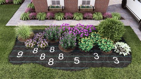 Plant By Number, Wavy Garden Design II, 9 x 20 ft. | Ship My Plants ...