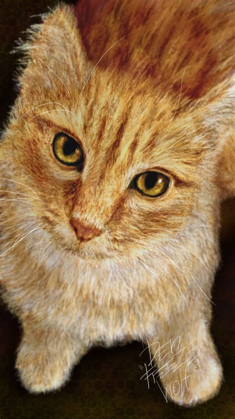 Image result for Rust Red Cat