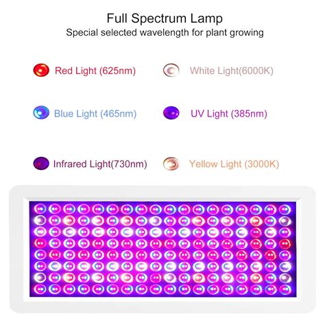 FUNGDO UV Light Box for DIY Icing Box Make Yellow/Oxidized India | Ubuy