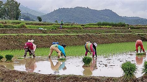 Most improved small state in agriculture: Manipur