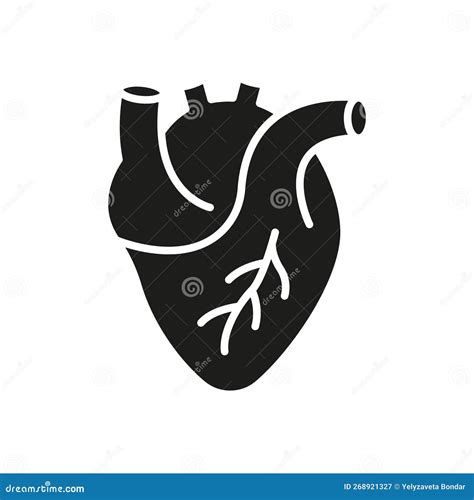 Human Heart Silhouette Icon. Medical Cardiology Glyph Symbol. Anatomy Of Healthy Cardiovascular ...