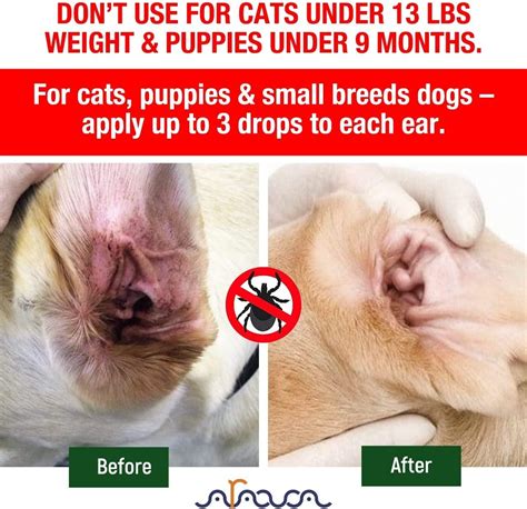 Arava Natural Ear Mite Treatment for Dogs & Cats - Infection Cleaner ...