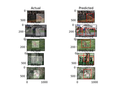 Object Detection Model with Keras 的图像结果