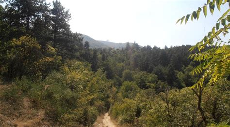 MOUNTAIN OF VODNO (2025) All You Need to Know BEFORE You Go (with ...