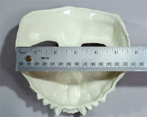 Image result for Evolution of the Bat Mask