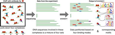 Narlikar Lab - Software