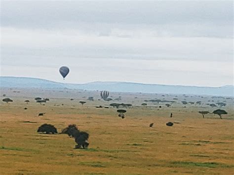 SHINE BALLOON SAFARIS - All You Need to Know BEFORE You Go 2026 (with ...