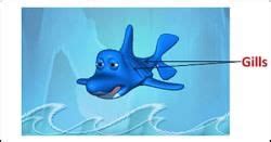 MCQ and Extra Questions: The Living Organisms - Characteristics and ...