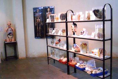 Photo Gallery of Various Departments