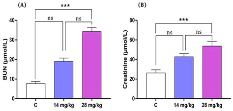 Maternal Exposure to Acephate Caused Nephrotoxicity in Adult Offspring ...