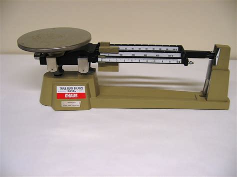 Triple Beam Balance Worksheet - E-streetlight.com