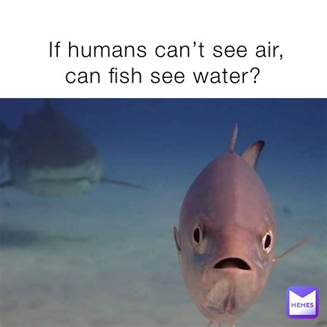 If humans can’t see air, can fish see water? | @higirlie | Memes