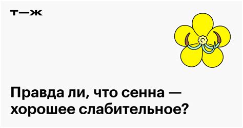 Сенна: как принимать, польза и вред слабительного, побочные эффекты