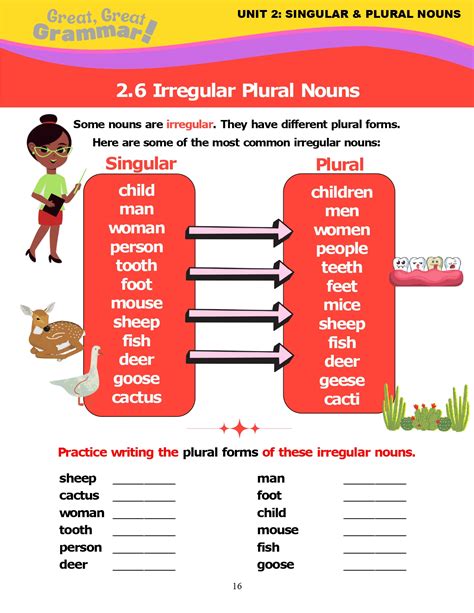Irregular Plural Noun Worksheet Singular And Plural Nouns Grammar