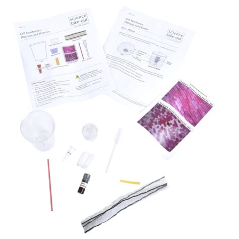 Image result for Cell Diffusion Model Kit