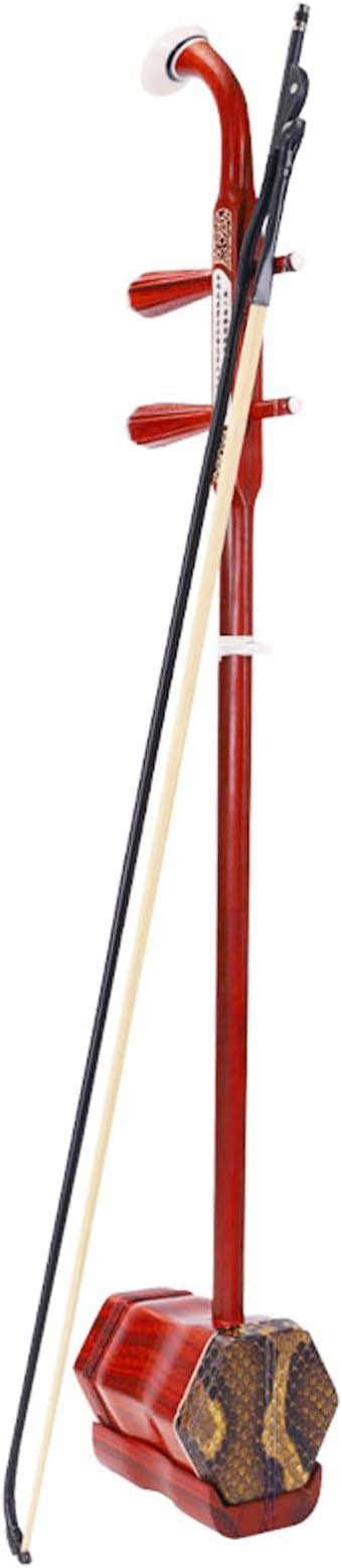 Image result for 2 Stringed Instrument