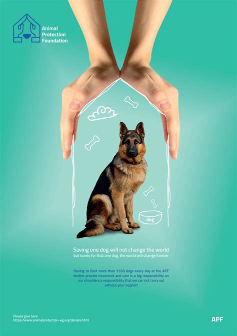 Animal Protection Foundation - brand identity on Behance