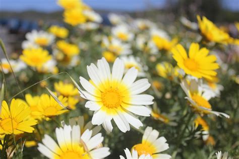 Image result for HTML Framework Practice