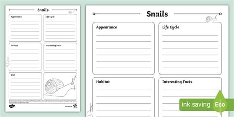 Snails Fact File Template (teacher made) - Twinkl