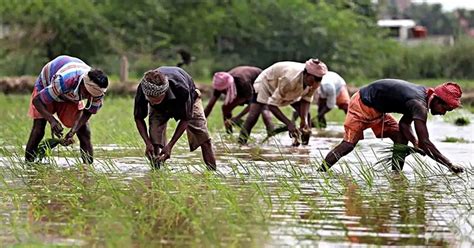 பிரதமரின் வேளாண் நீர்ப்பாசனத் திட்டத்தின் துணைத் திட்டமாக 2025-2026 ...