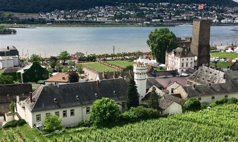 Ingelheim Tourism (2024): Best of Ingelheim, Germany - Tripadvisor